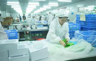 他白手起家 誠信經(jīng)營,要把中國之美傳遞給世界